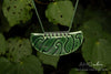 Puhoro Whakakai (Pendant), Forest Green, PREORDER