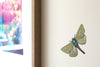 Native Moth and Butterfly Wall Decal Set