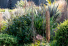 Pou Whenua, Corten Garden Pou (Made to order)