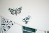 Native Moth and Butterfly Wall Decal Set