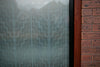 Poutama Frosted Window Film
