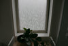Ihi Frosted Window Film